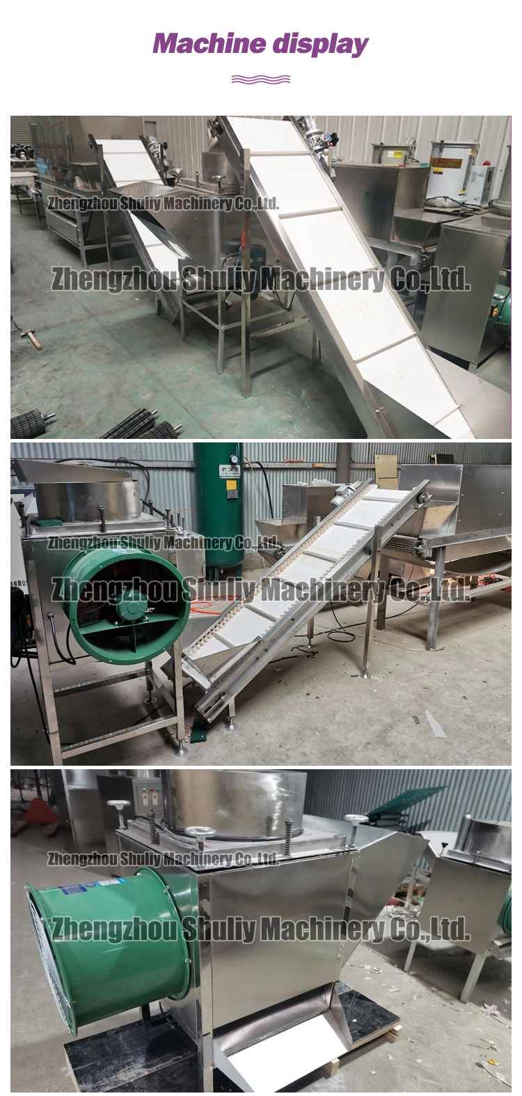 Garlic peeling machine process line Garlic peeling machine process line