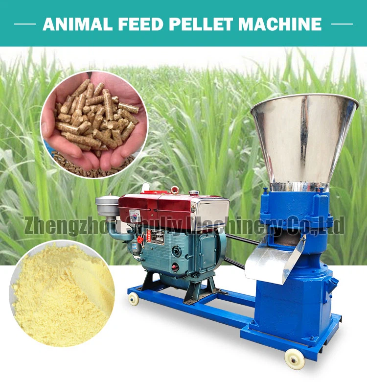 Flat die pellet machine Flat die pellet machine