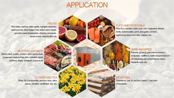 Food Drying Machine