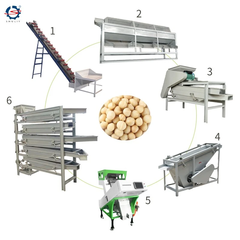 Almond Shelling Production Line