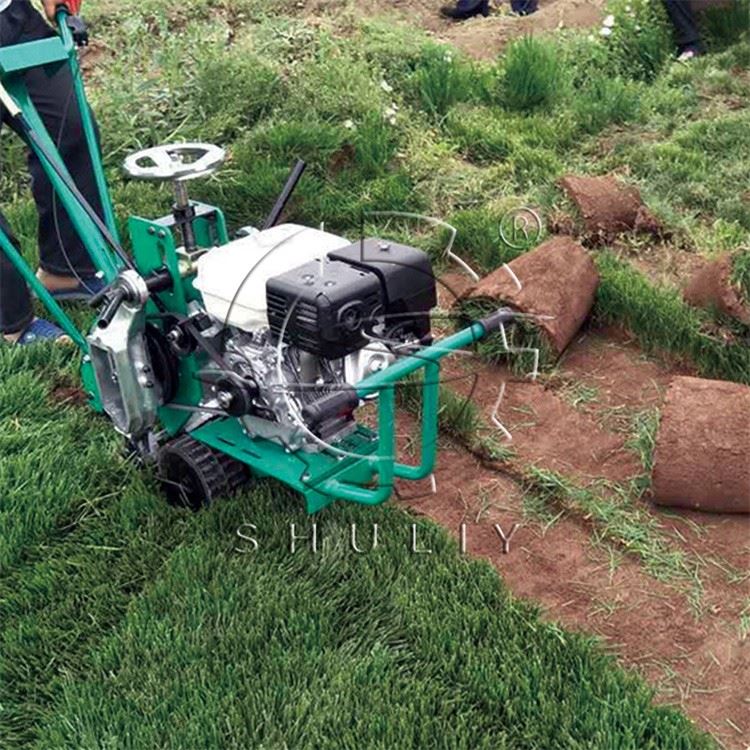 Lawn Transplanting Machine best