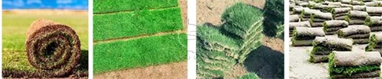 Lawn Transplanting Machine suppliers